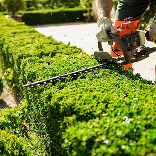 E.I.MEREL : entretien jardin et espace vert à Illiers-Combray, Châteaudun & Nogent-le-Rotrou (28) 